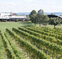 Puffing Billy Train and Yarra Valley Food and Wine Day Trip from Melbourne - VIC Tourism