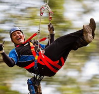 12 Apostles and Otway Fly Zipline Day Trip from Melbourne - VIC Tourism