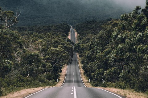 Small Group - Grampians Hiking Day Tour From Melbourne - VIC Tourism 4