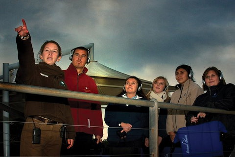 Phillip Island Penguin Parade Express Tour From Melbourne - VIC Tourism 4