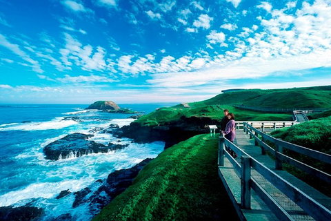 Phillip Island Penguin Parade Express Tour From Melbourne - VIC Tourism 8