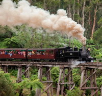 Melbourne Combo Great Ocean Road Puffing Billy Moonlit Sanctuary  Penguins - VIC Tourism