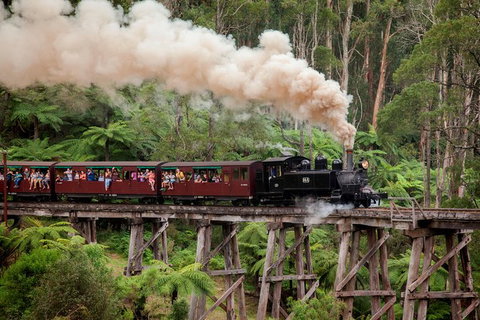 Melbourne Combo: Great Ocean Road, Puffing Billy, Moonlit Sanctuary & Penguins - VIC Tourism 2