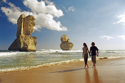 Melbourne Combo: Great Ocean Road, Puffing Billy, Moonlit Sanctuary & Penguins - VIC Tourism 8