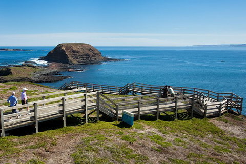 Melbourne Combo: Great Ocean Road, Puffing Billy, Moonlit Sanctuary & Penguins - VIC Tourism 3