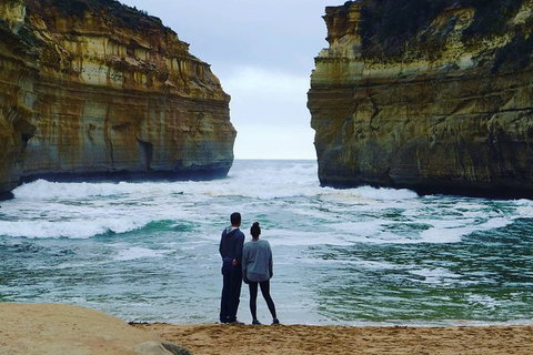 Melbourne Combo: Great Ocean Road, Puffing Billy, Moonlit Sanctuary & Penguins - VIC Tourism 6