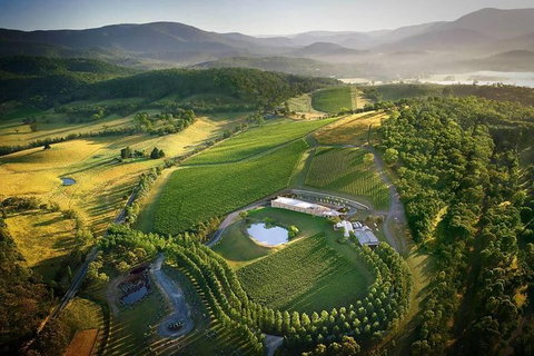 Yarra Valley - Wineries & Gin Distillery Tour - VIC Tourism 0