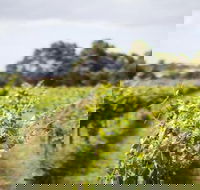 Phillip Island Wine Experience Tour - VIC Tourism