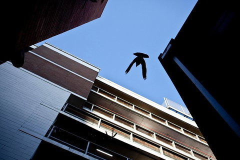 Melbourne Laneway Photo Tours - VIC Tourism 1