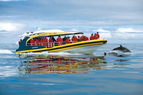 3-Hour Tasman Peninsula Wilderness Cruise From Port Arthur - VIC Tourism 5