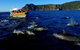 3-Hour Tasman Peninsula Wilderness Cruise From Port Arthur - thumb 4
