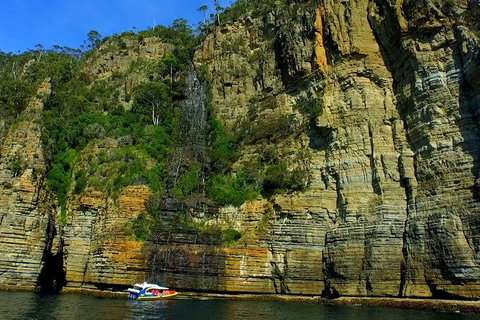 3-Hour Tasman Peninsula Wilderness Cruise From Port Arthur - VIC Tourism 7