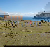 Maria Island Active Day Trip from Hobart - VIC Tourism