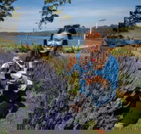Port Arthur and Lavender Farm Active Day Tour - VIC Tourism