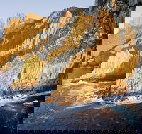 Full-Day Tasman Peninsula Tour from Hobart - VIC Tourism