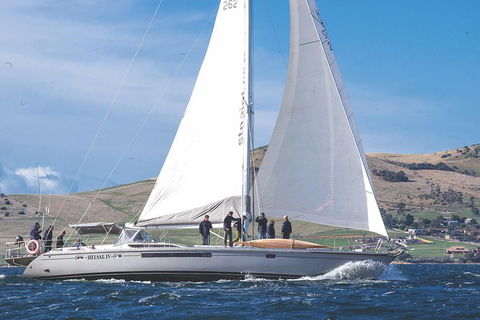Half-Day Sailing On The Derwent River From Hobart - VIC Tourism 5