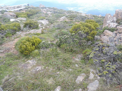 Mt Wellington Tour And MONA Admission - VIC Tourism 8