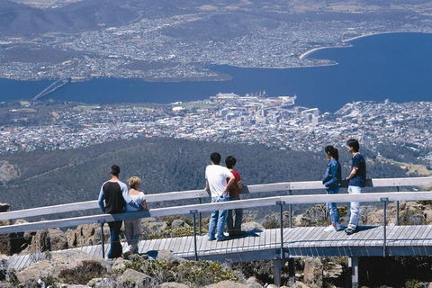 Mt Wellington Tour And MONA Admission - VIC Tourism 13