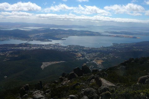 Mt Wellington Tour And MONA Admission - VIC Tourism 15