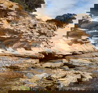 Maria Island premium private photo-oriented day tour from Hobart - VIC Tourism