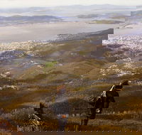 Mt Wellington Half Day Guided Summit Hike - VIC Tourism