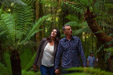 West Coast Wilderness Railway: River And Rainforest From Strahan - VIC Tourism 3