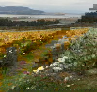 Mona and Wine Experience Tour - VIC Tourism