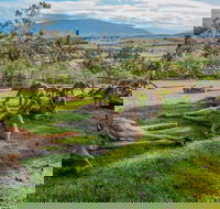 Shore Excursion Hobart's Best In Half A Day - VIC Tourism