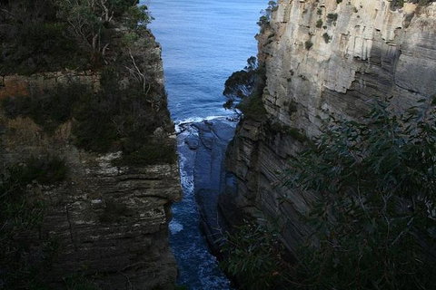 Cruise Ship Special From Port Arthur: Explore Tasman Peninsula With Free WiFi - VIC Tourism 1