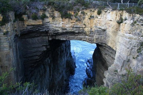 Cruise Ship Special From Port Arthur: Explore Tasman Peninsula With Free WiFi - VIC Tourism 0