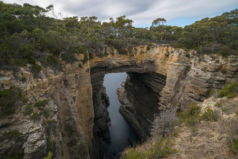 Cruise Ship Special From Port Arthur: Explore Tasman Peninsula With Free WiFi - VIC Tourism 2