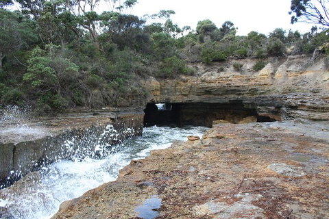 Cruise Ship Special From Port Arthur: Explore Tasman Peninsula With Free WiFi - VIC Tourism 7