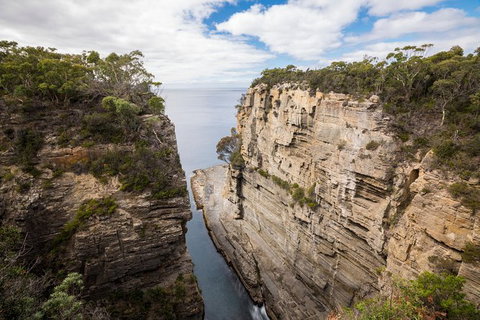Cruise Ship Special From Port Arthur: Explore Tasman Peninsula With Free WiFi - VIC Tourism 3