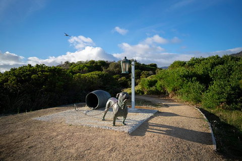 Cruise Ship Special From Port Arthur: Explore Tasman Peninsula With Free WiFi - VIC Tourism 9