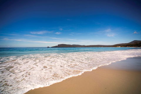 Private Bruny Island Nature Day Trip From Hobart - VIC Tourism 1