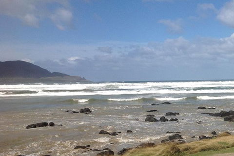 Private Bruny Island Nature Day Trip From Hobart - VIC Tourism 0