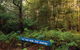 Small-group Tour From Hobart: Derwent River Valley And Coal River Valley - thumb 7