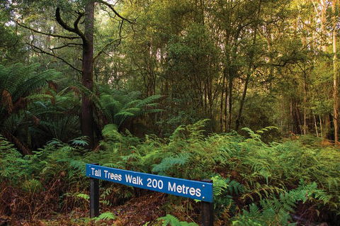 Small-group Tour From Hobart: Derwent River Valley And Coal River Valley - VIC Tourism 7