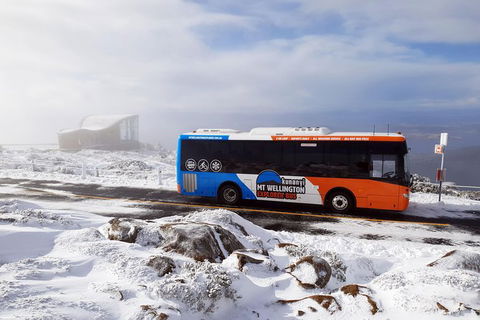 Kunany / Mt Wellington Explorer Bus - 2 Hour Return Tour - VIC Tourism 7