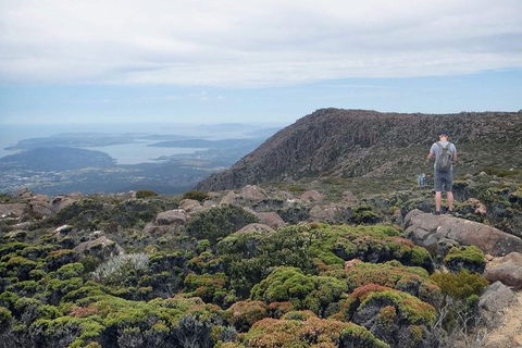 Kunany / Mt Wellington Explorer Bus - 2 Hour Return Tour - VIC Tourism 4
