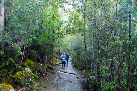 Kunany / Mt Wellington Explorer Bus - 2 Hour Return Tour - VIC Tourism 5