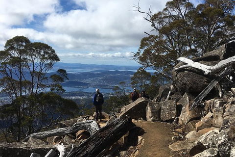 Kunany / Mt Wellington Explorer Bus - 2 Hour Return Tour - VIC Tourism 9