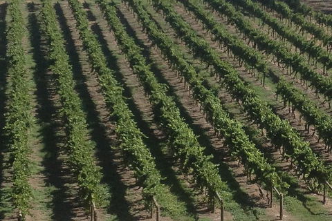 Full Day 'Two Valleysâ€™- Derwent & Huon Grazing Tour - VIC Tourism 0