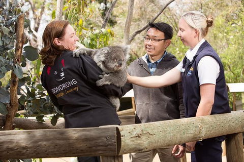 3 Of Hobart's Best Experiences In One Day - Mt Wellington, Richmond And Bonorong - VIC Tourism 0