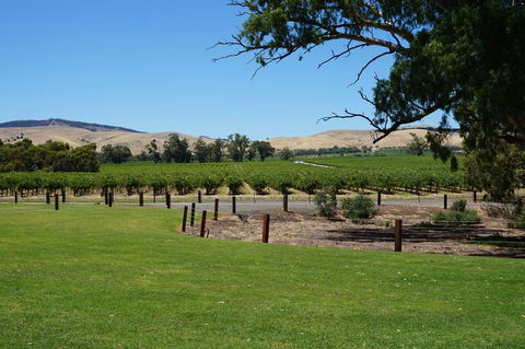 Barossa Valley With Hahndorf Tour From Adelaide - VIC Tourism 3