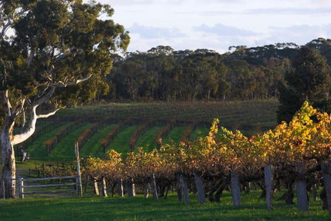 Barossa Valley With Hahndorf Tour From Adelaide - VIC Tourism 0