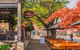 Barossa Valley Full-Day Tour From Adelaide With Maggie Beer Farm - thumb 1