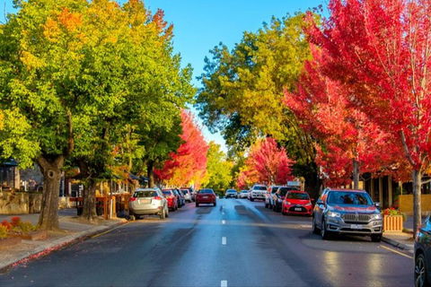 Barossa Valley Full-Day Tour From Adelaide With Maggie Beer Farm - VIC Tourism 6