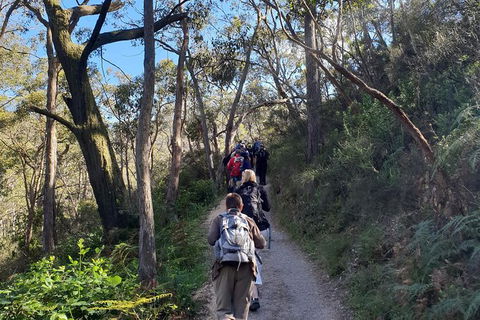 Mount Lofty Hike And Cleland Wildlife Park Day Trip From Adelaide - VIC Tourism 0