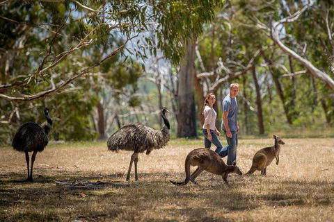 Mount Lofty Hike And Cleland Wildlife Park Day Trip From Adelaide - VIC Tourism 3